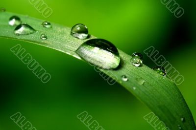 natural waterdrop