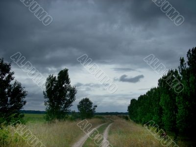 Countryside landscape