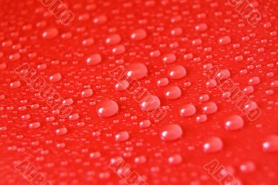 Water Drops