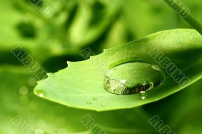 natural waterdrop