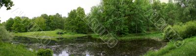 Lake in the Forest