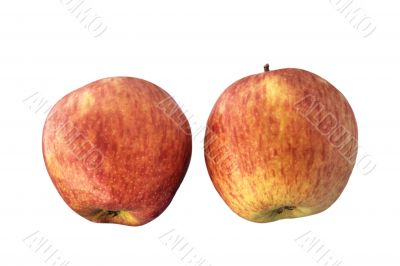 Two apples