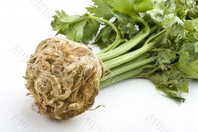 celery