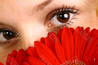 eyes