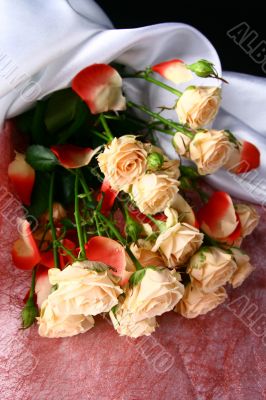 holyday roses