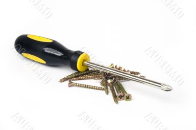 Phillips head screwdriver