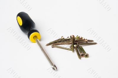 Phillips head screwdriver