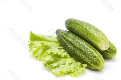 Cucumbers on lettuce