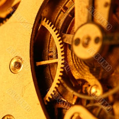 golden gear