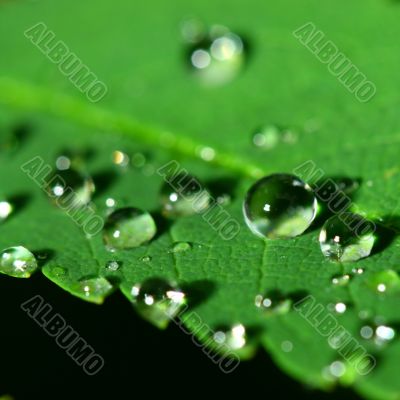natural waterdrop