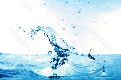 water splash