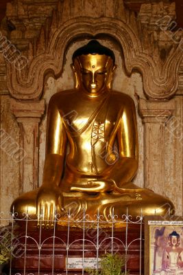Golden Buddha