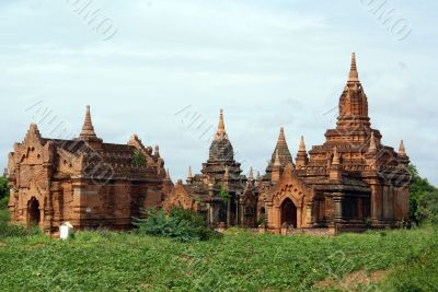 Green grass and pagodas
