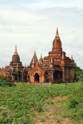 Green grass and brick pagoda