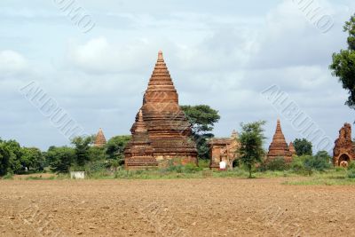 Field and pagodas