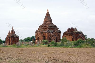 Field and pagodas