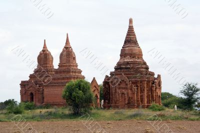 Field and pagodas