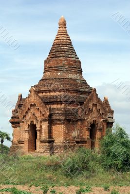 Pagoda and bush