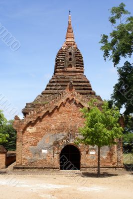 Brick pagoda and tree in Old Bagan
