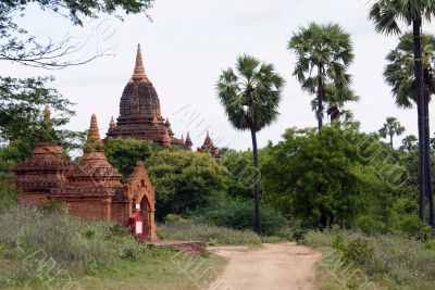 Road, palm trees and brick temple in Bagan