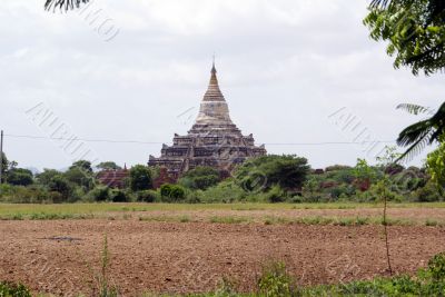 Temple