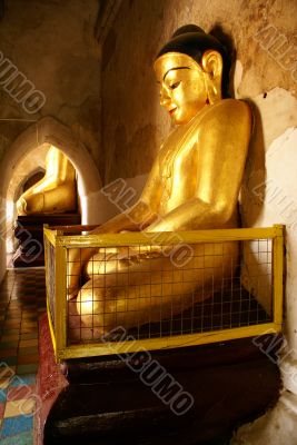 Buddha