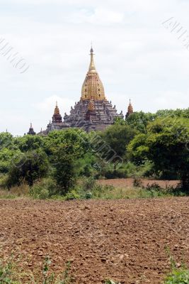Temple on the field