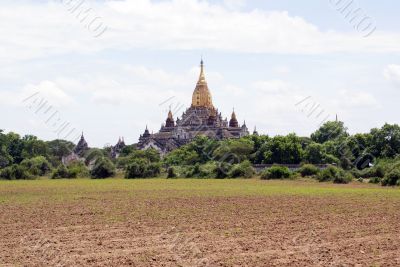 Field and temple