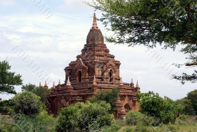 Temple and bush