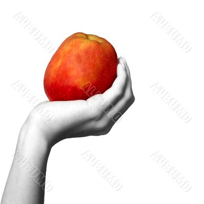 Red apple