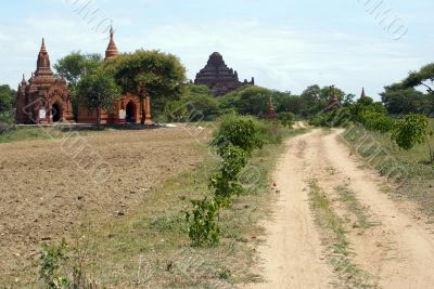 Road to temple