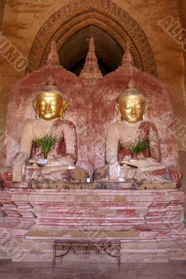 Buddhas