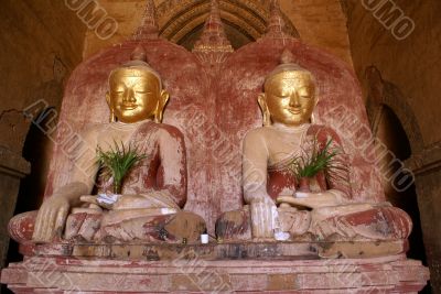 Buddhas