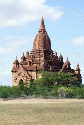 Pagoda on the field