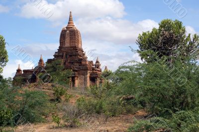 Temple and bush