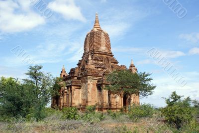Temple and trees