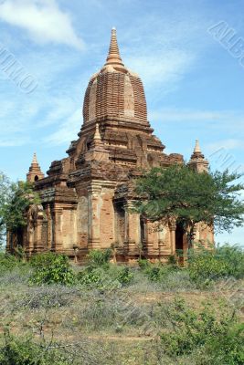 Temple and tree