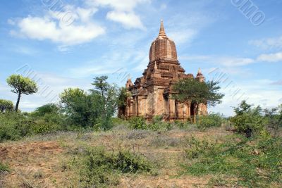 Temple, bush and trees