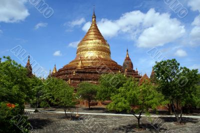 Dhamma Yazika