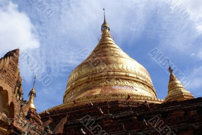 Golden done of pagoda