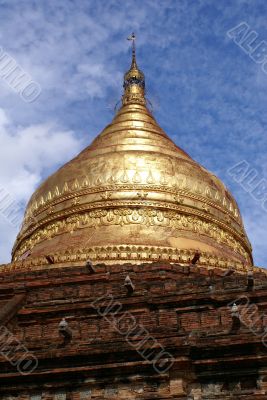 Golden Dhamma Yazila pagoda