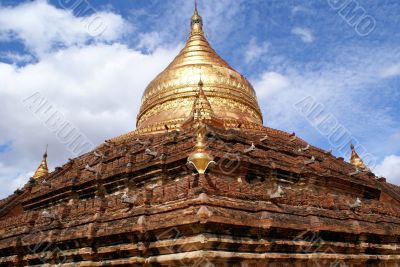 Dhamma Yazika pagoda