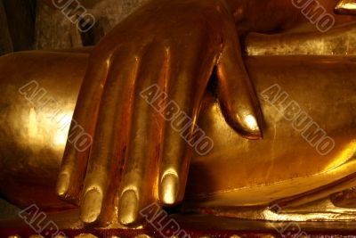 Golden palm