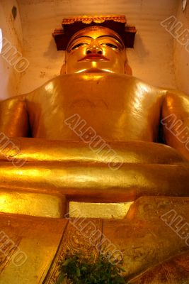 Sitting gold Buddha