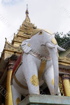 White elephants