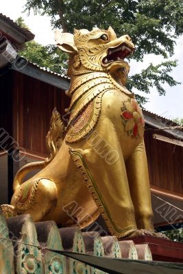 Golden lion