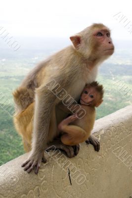 Mother and child