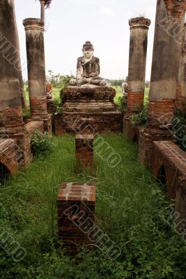 Buddha