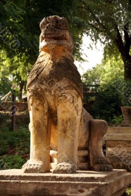 Lion