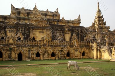 Gow and temple